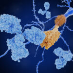 Immunotherapy for Alzheimer’s Disease