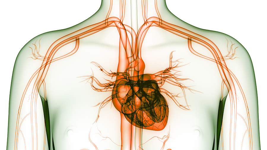 Atrial Fibrillation