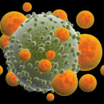 Experimental Melanoma Therapy